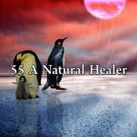 55 A Natural Healer