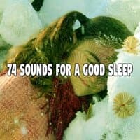 74 Sounds for a Good Sleep