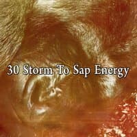 30 Storm to Sap Energy