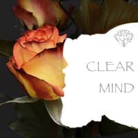 Clear Mind