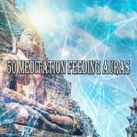 50 Meditation Feeding Auras