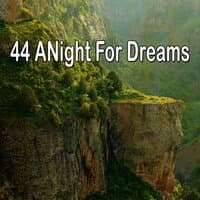 44 A Night for Dreams