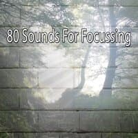 80 Sounds for Focussing