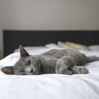 20 Tracks for Deep Sleep Relaxation