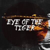 Eye of the Tiger