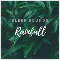 Rain Sound For Sleep