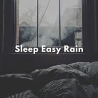 Sleep Easy Rain