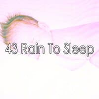 43 Rain to Sleep