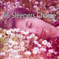 66 Sleepers Choice