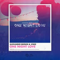 One Night Love