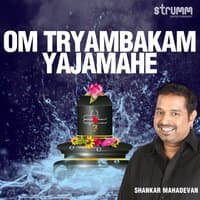 Om Tryambakam Yajamahe - Single