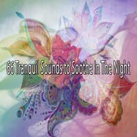 66 Tranquil Sounds to Soothe in the Night