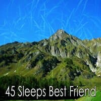 45 Sleeps Best Friend