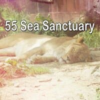 55 Sea Sanctuary