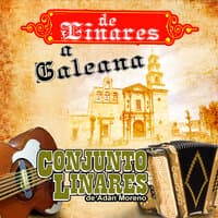 De Linares A Galeana Con