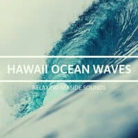 Hawaii Ocean Waves - Relaxing Seaside Sounds