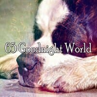 65 Goodnight World