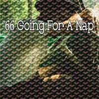 66 Going For a Nap