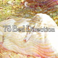 78 Bed Direction