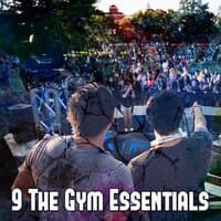 9 The Gym Essentials