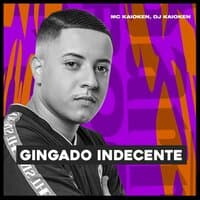 Gingado Indecente