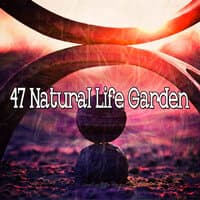 47 Natural Life Garden