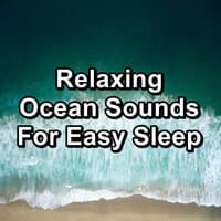 Relaxing Ocean Sounds For Easy Sleep