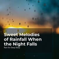 Sweet Melodies of Rainfall When the Night Falls