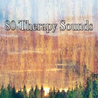 80 Therapy Sounds