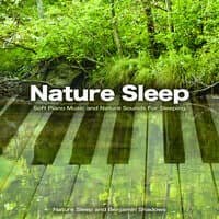 Piano and Nature Sounds