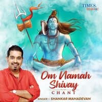 Om Namah Shivay Chant - Single