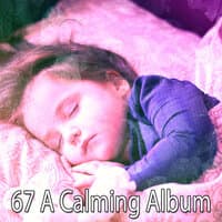 67 A Calming Album