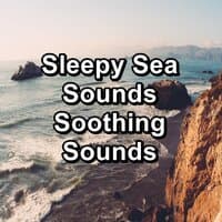 Sleepy Sea Sounds Soothing Sounds