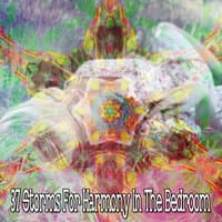 37 Storms for Harmony in the Bedroom