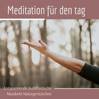 Meditation für den tag - entspannende buddhistische Musik mit Naturgeräuschen