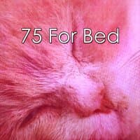 75 For Bed