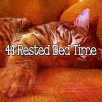 44 Rested Bed Time