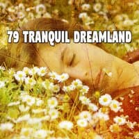 79 Tranquil Dreamland