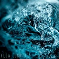 Flow Condition