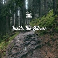 Inside the Silence