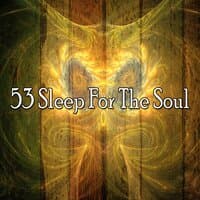 53 Sleep for the Soul