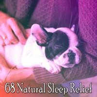 68 Natural Sleep Relief