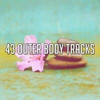 43 Outer Body Tracks