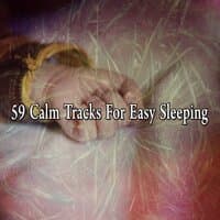 59 Calm Tracks for Easy Sleeping