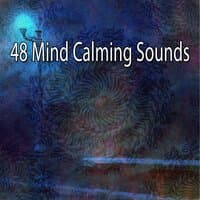 48 Mind Calming Sounds