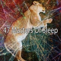 47 Masters of Sleep