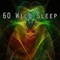 60 Wild Sleep