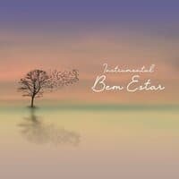 Instrumental: Bem Estar