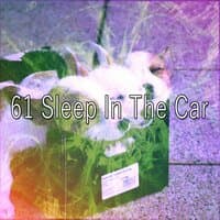 61 Sleep in the Car