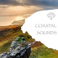 Coastal Sounds